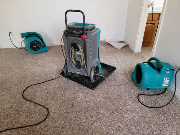 Best Mold removal after water damage  in Alvord, TX